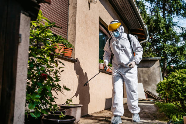 Pest Prevention Services in East Cleveland, OH