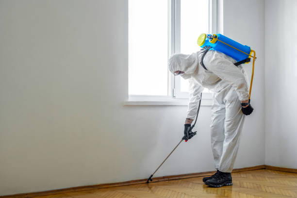 Professional Pest Control in East Cleveland, OH